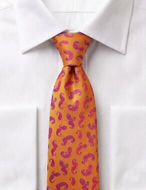 Ted Baker London Orange 100% Silk Necktie